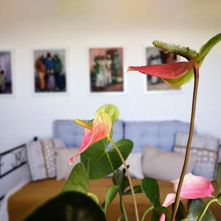 Casa Arte De Sorvilán Dış mekan fotoğraf