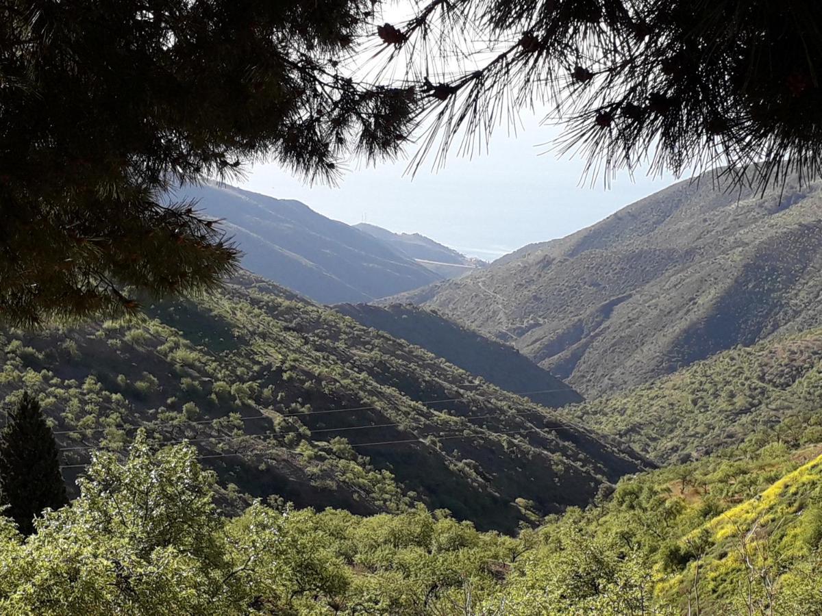 Casa Arte De Sorvilán Dış mekan fotoğraf