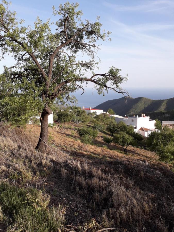 Casa Arte De Sorvilán Dış mekan fotoğraf